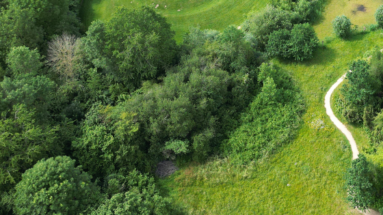 luchtbeeld van Groene Long ter hoogte van Teletubbieberg en 't Slot