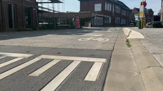 Verkeersplateau Gen Eisenhowerstraat
