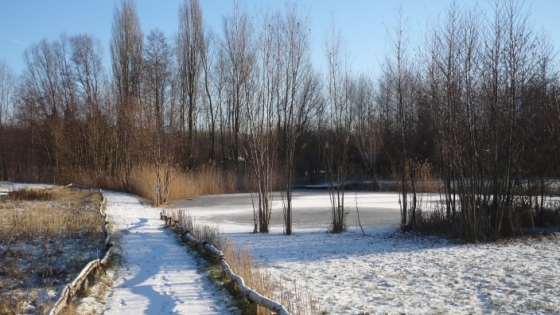 winterlandschap Groene Long met wandelpad